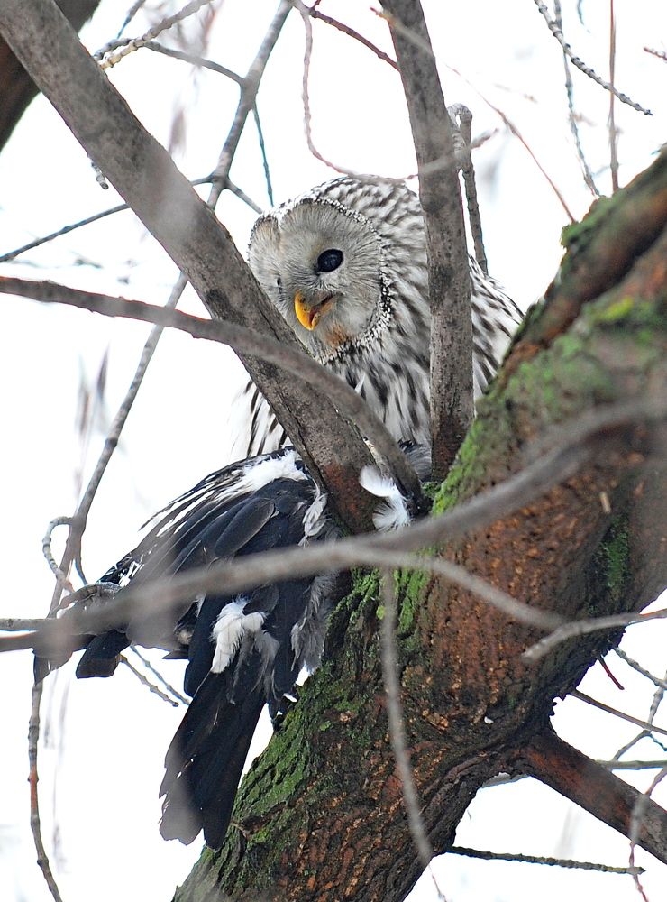 Photograph by Алексей Козлов