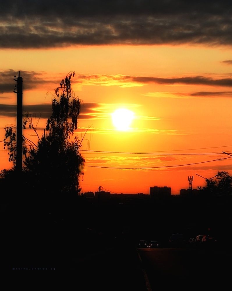 Photograph by Юлия Реутова