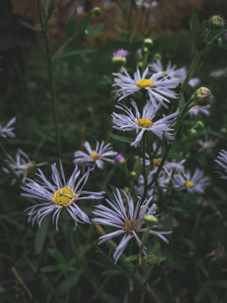 Photograph by Бирюков Павел
