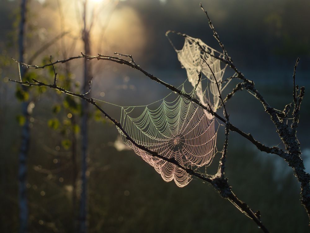 Photograph by 