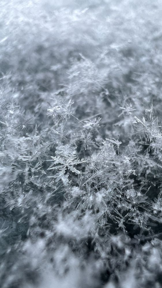 Photograph by Eugenia Schmidt