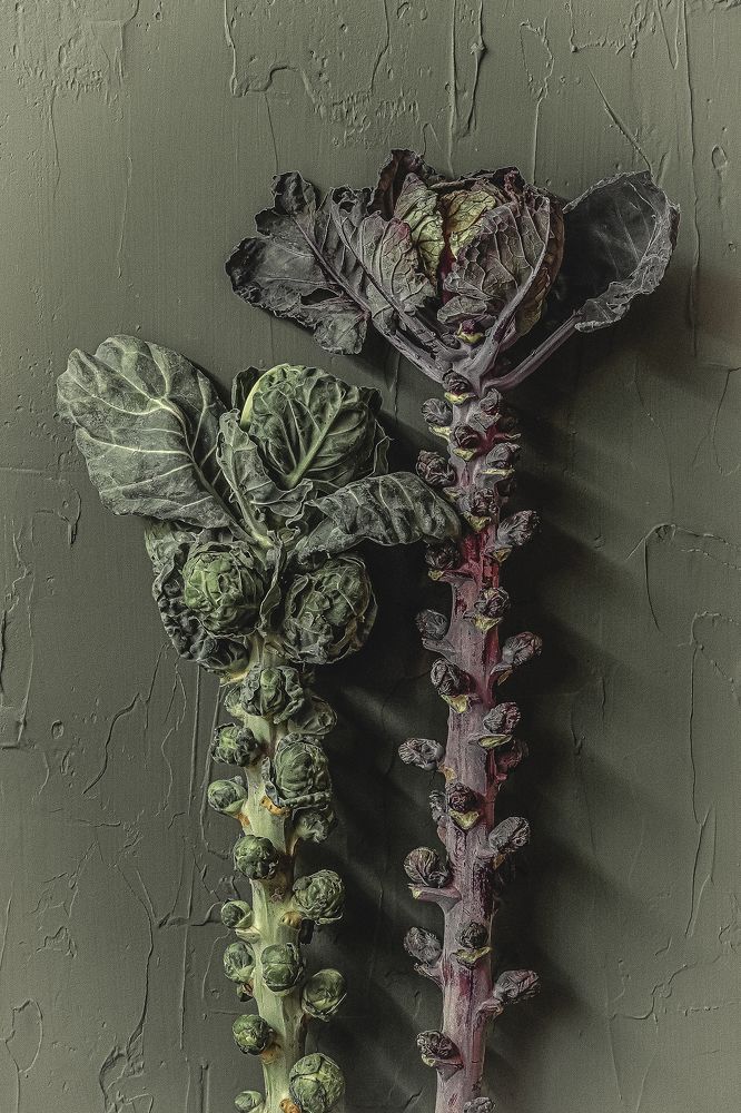 Фотография автора Eirene G