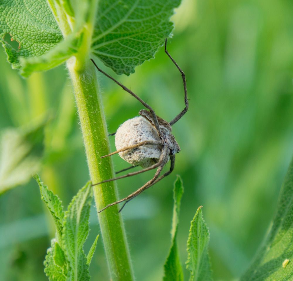 Photograph by юрий Запяткин