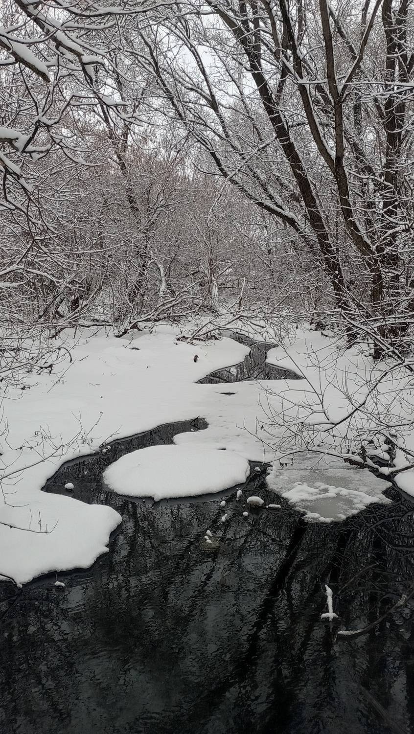 Photo #9897470