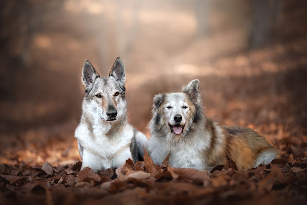 Фотография автора Ana Sánchez