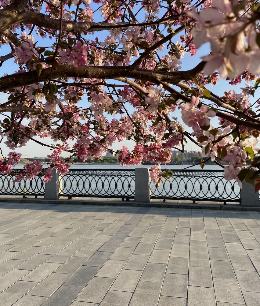 Photograph by Алиса Лукина