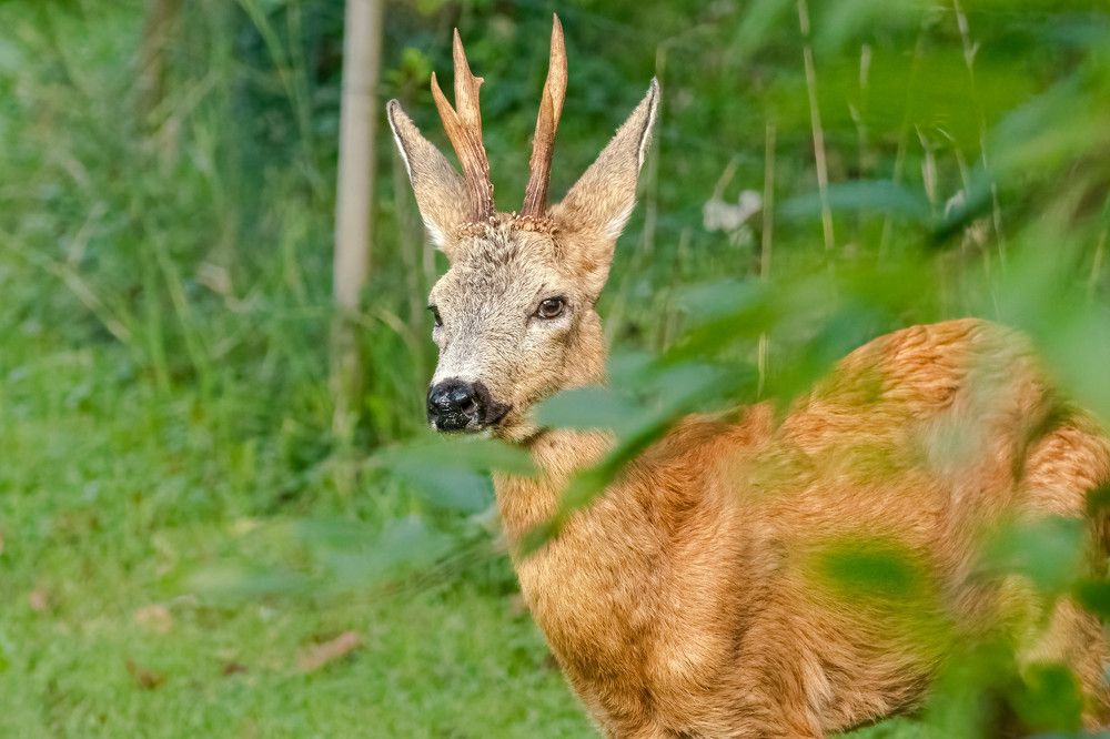 Photograph by Gregor Kobilica