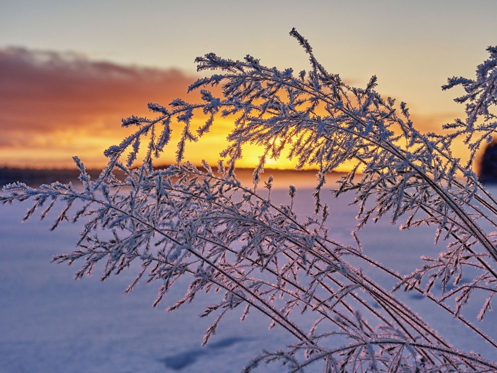 Photograph by Александр Авдушев