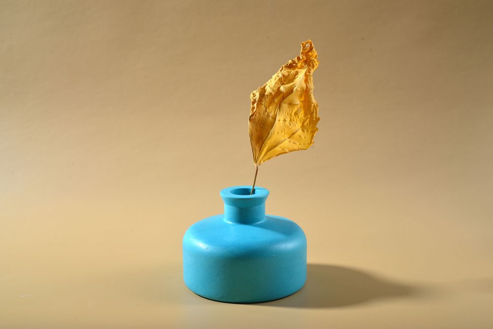 Photograph by Ангела Честнова