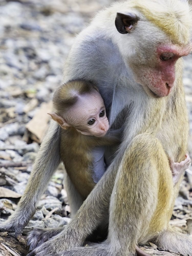 Photograph by HEMAMALI GUNASEKARA