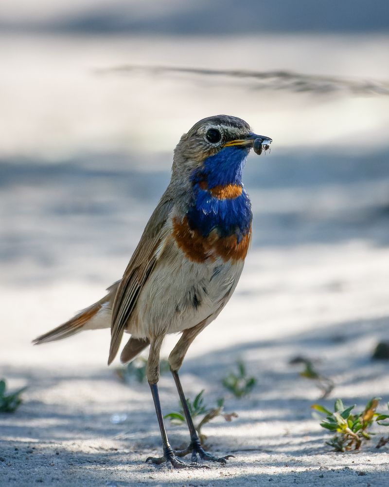 Фотография автора Rimma Gerasimenko