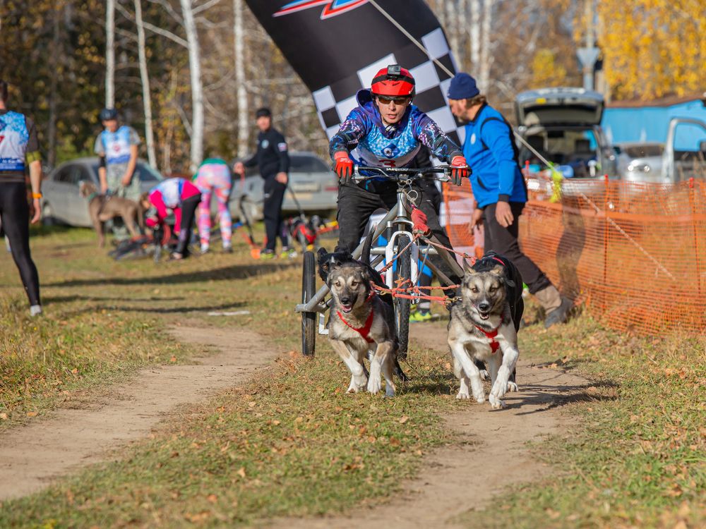 Photograph by Елена Павлова