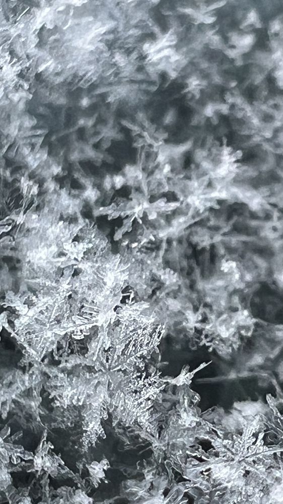 Photograph by Eugenia Schmidt