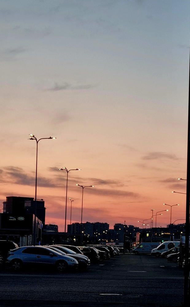 Photograph by Elena Tamošauskaite