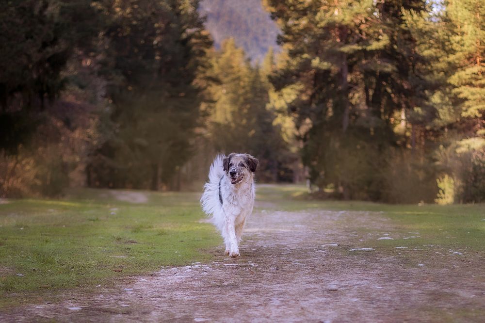 Photograph by Nataliya Nazarova