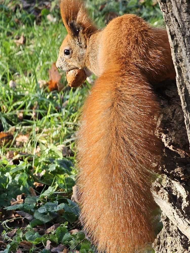 Photograph by даша ващенко