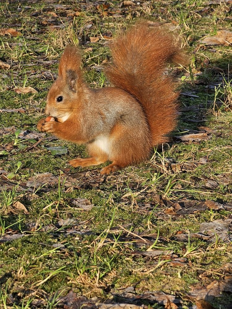 Photograph by даша ващенко