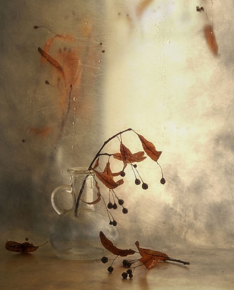 Photograph by Наталия К