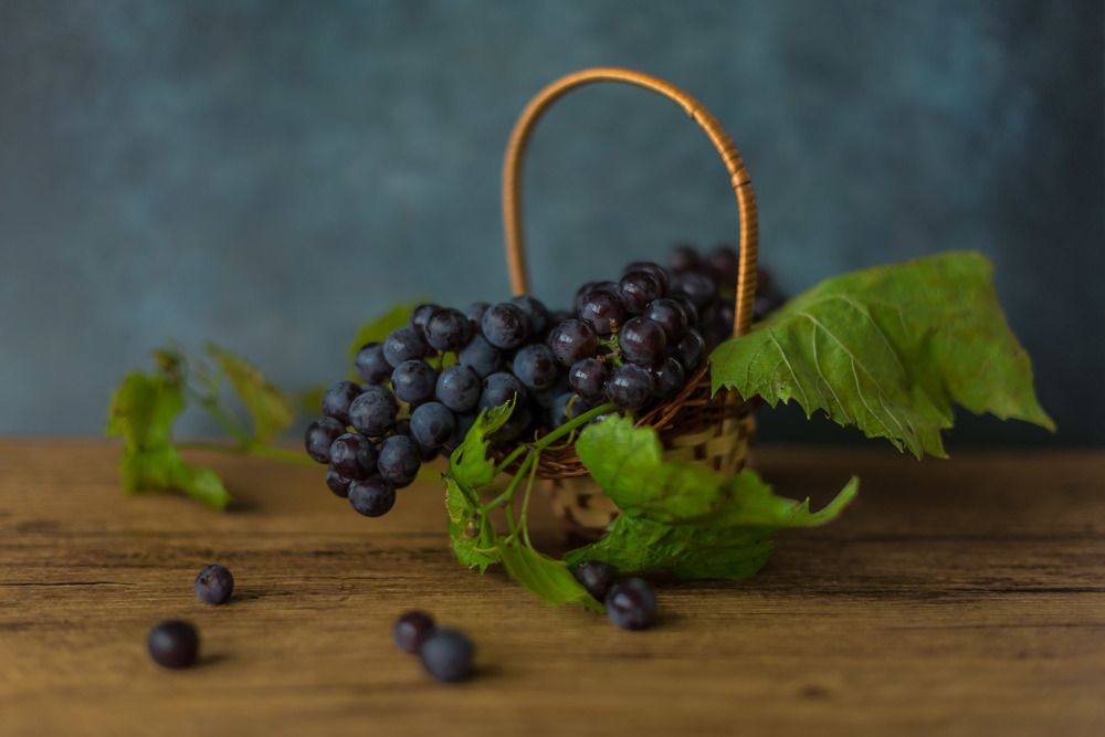 Photograph by Kristina Nutautiene