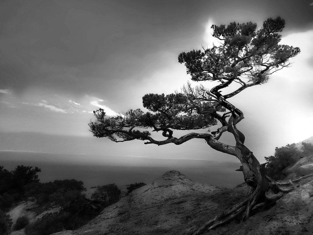 Photograph by Александр Разумов