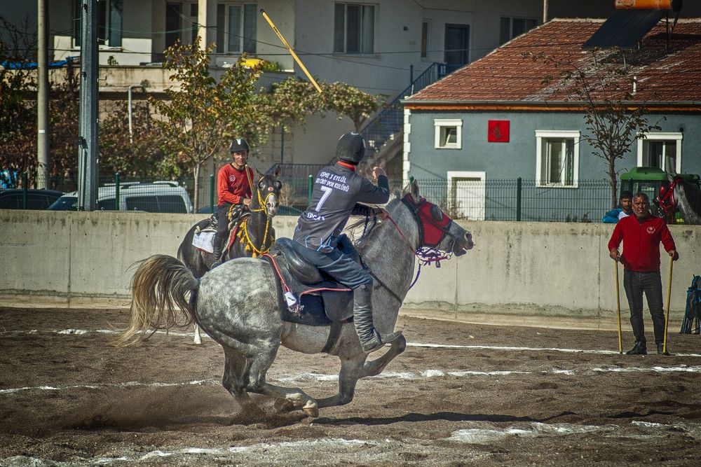 Photograph by DAMOUN POURNEMATI