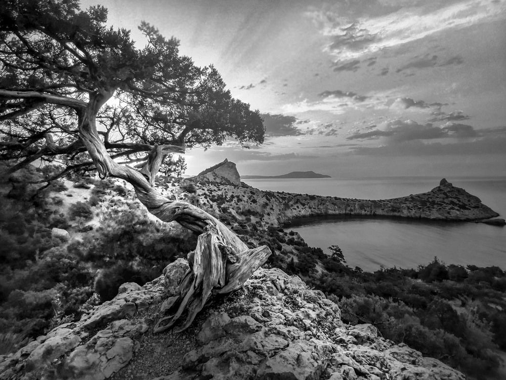 Photograph by Александр Разумов