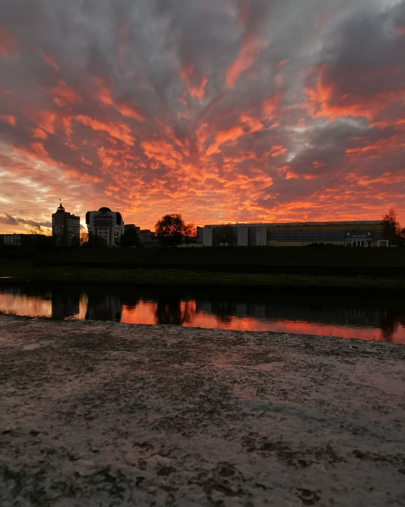 Photograph by Aliona