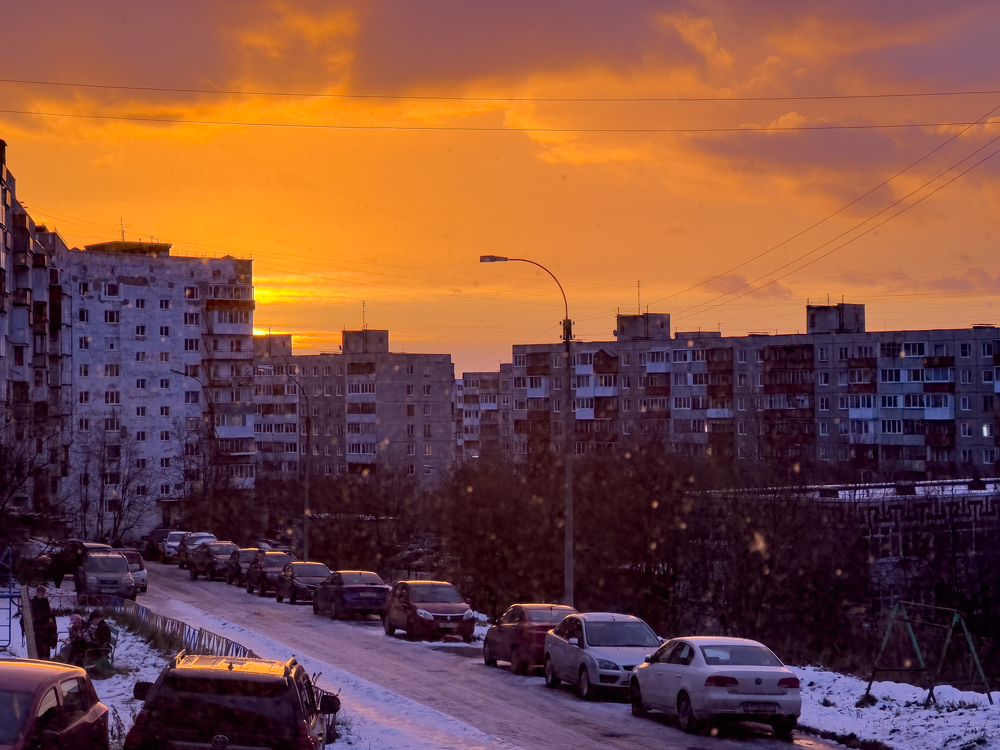 Photograph by Алина Камбулина