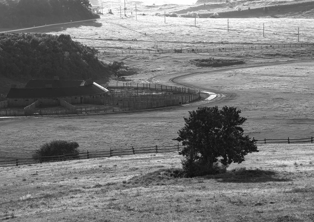 Photograph by Андрей Лопатин