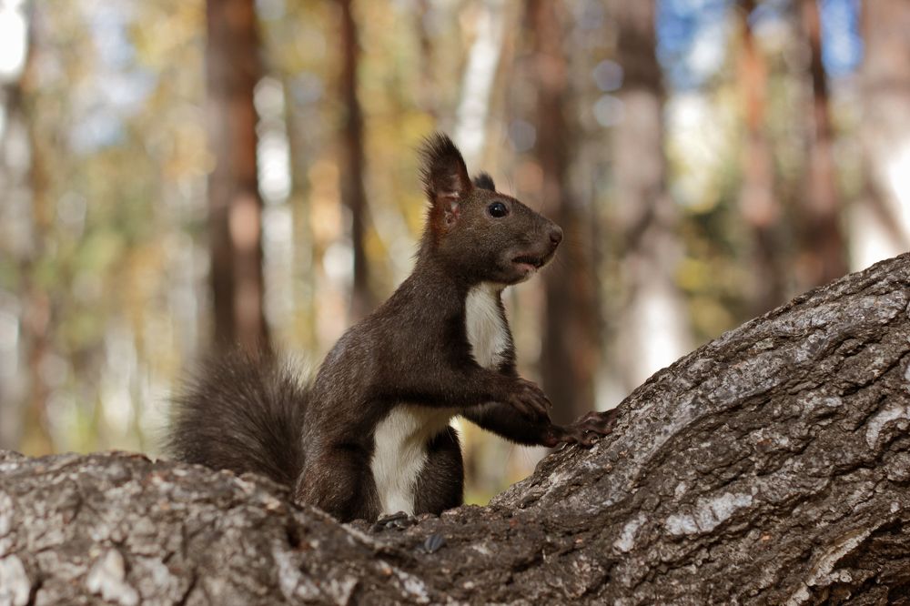 Photograph by Анна Киселёва