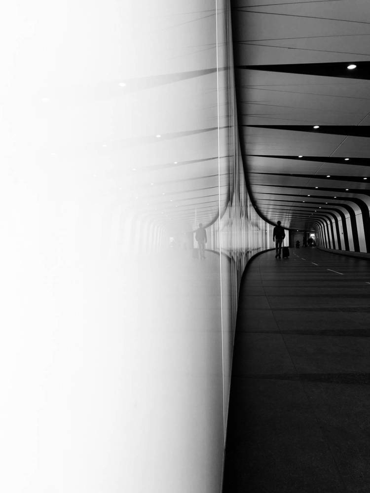 Photograph by Zinaida Sassarini