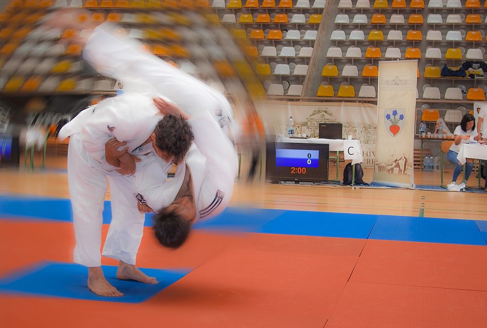 Judo 2