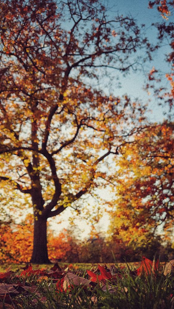 Photograph by Zinaida Sassarini