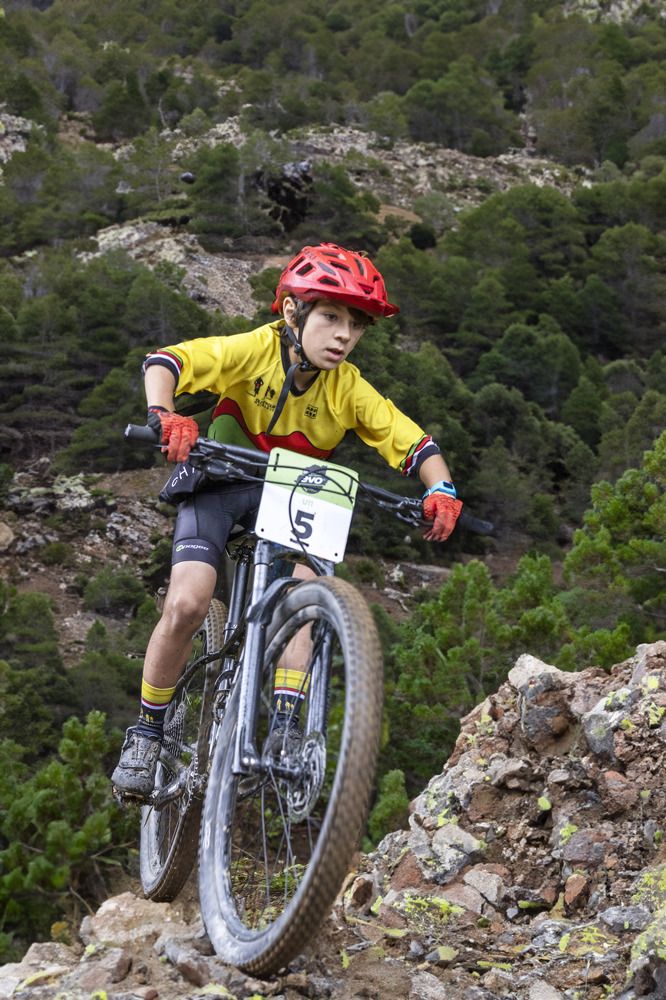 Фотография автора Clement Roy