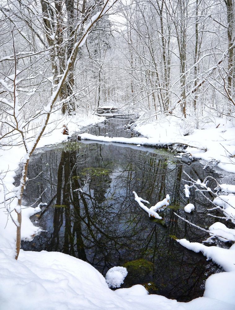 Photograph by Владимир Микрокосмос