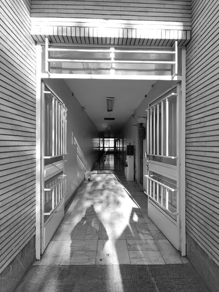 Photograph by mohamad jahanpour