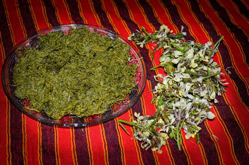 Photograph by Bachir Rabouh