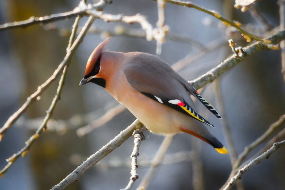Photograph by Владимир Микрокосмос
