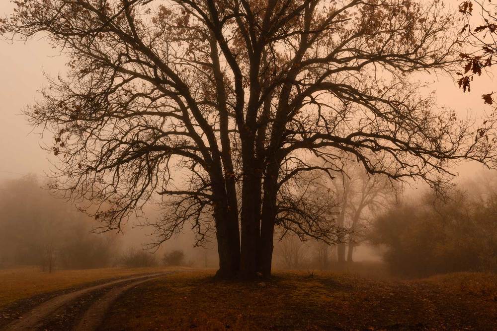 Фотография автора Игорь Баранов