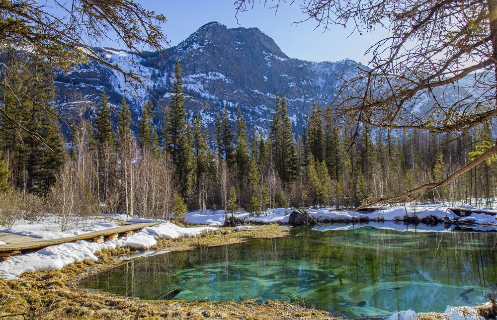 Photograph by Елена Павлова