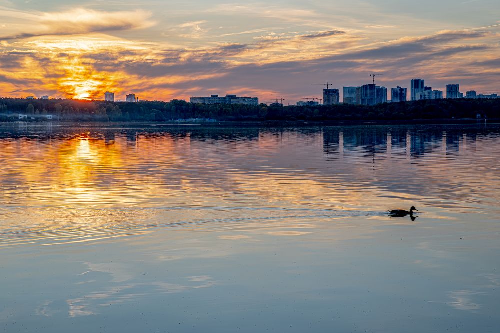 Photograph by Denis Chigintsev