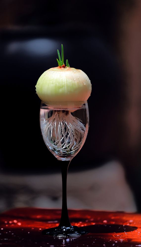 Фотография автора Lien Vu