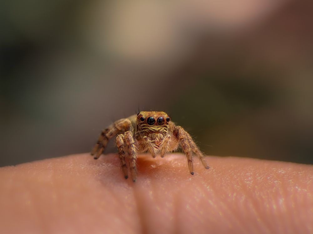 Photograph by Sukanya Chowdhury