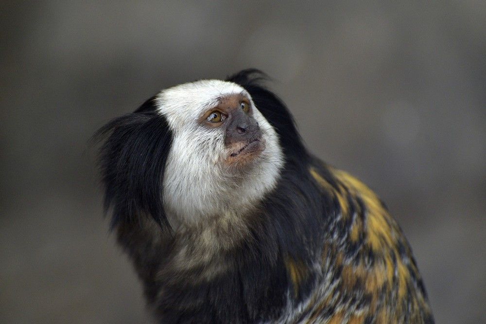 Photograph by Корнейчук Игорь