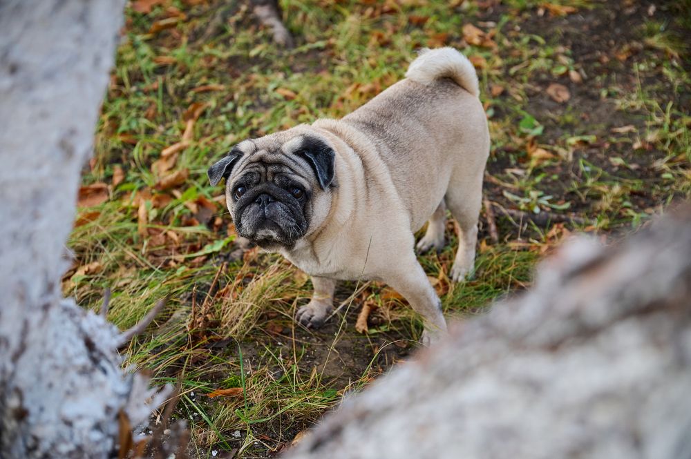 Photograph by Александр