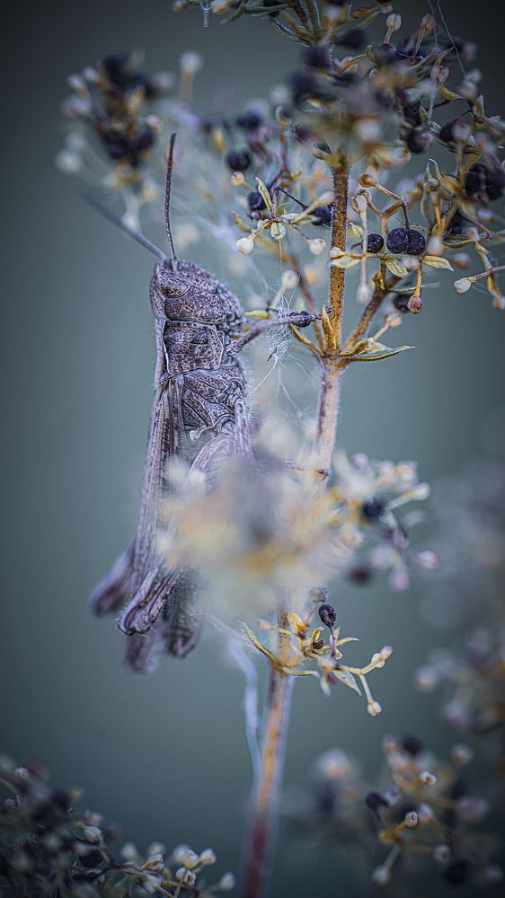 Photograph by Алена Полетаева