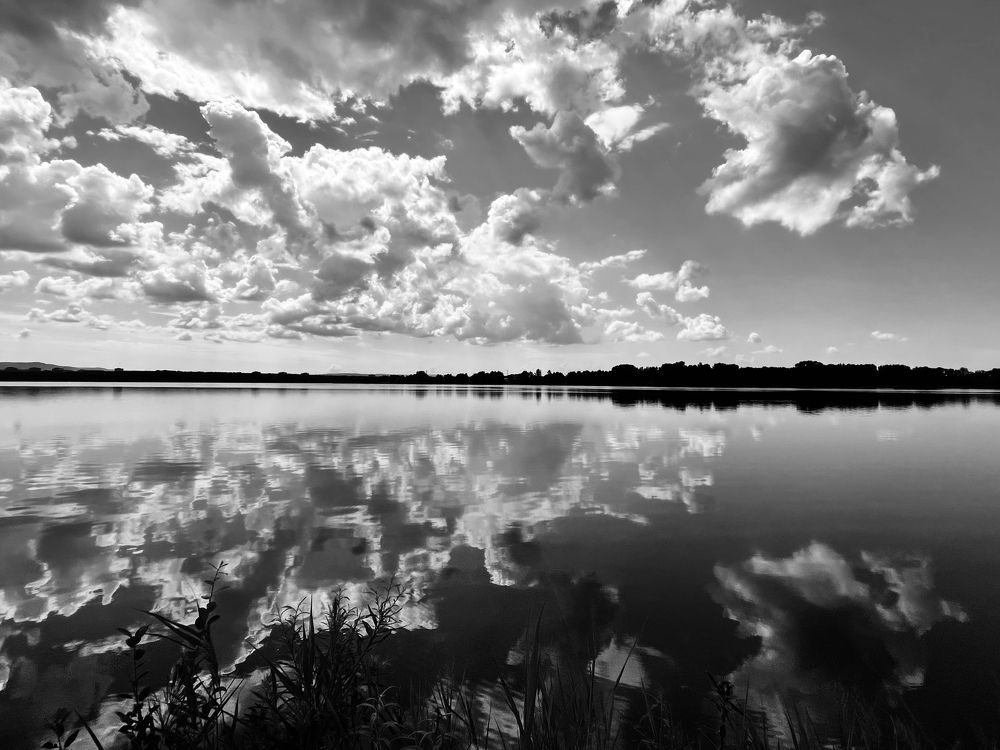 Photograph by Светлана Петренко