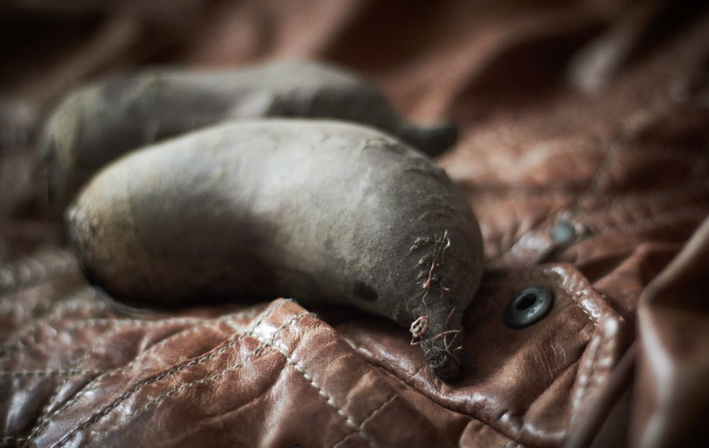 Photograph by Inna Tatarchenko