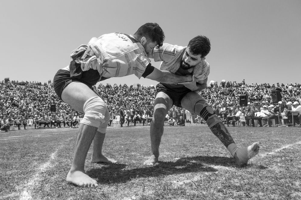 Photograph by seyed mostafa yousefi