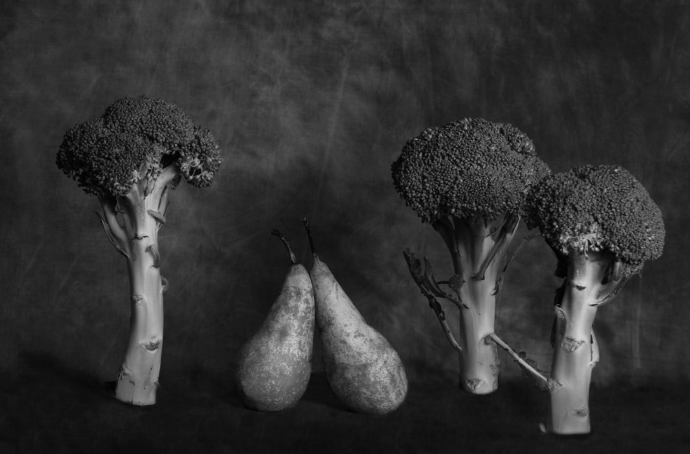 Photograph by Светлана Карнаух